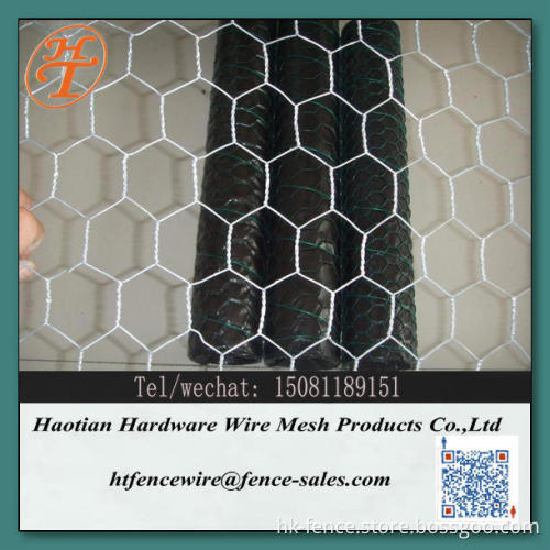 Lowest price galvanized chicken wire mesh